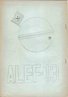 ALEF-13.jpg