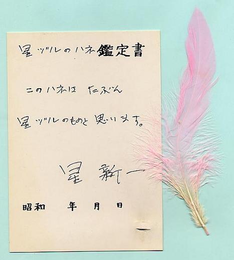 ホシヅルの羽（ピンク）.jpg