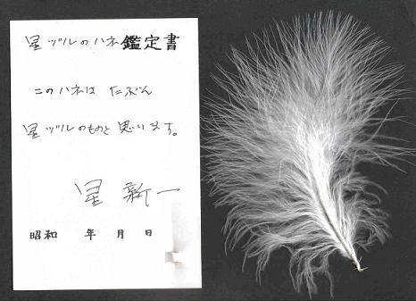 ホシヅルの羽（白）.jpg